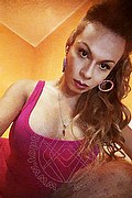 Novara Transex Escort Brandy 388 3860479 foto selfie 85