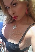 Novara Transex Escort Brandy 388 3860479 foto selfie 28