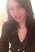 Padova Transex Escort Izabelli Frazao Pornostar 327 6619130 foto selfie 8
