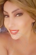 Padova Transex Escort Izabelli Frazao Pornostar 327 6619130 foto selfie 40