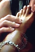 Padova Transex Escort Izabelli Frazao Pornostar 327 6619130 foto selfie 46