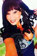 Quarto D'altino Transex Escort Roberta Kelly 331 5400919 foto selfie 406