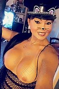 Quarto D'altino Transex Escort Roberta Kelly 331 5400919 foto selfie 352