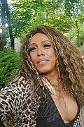 Mestre Transex Escort Paolina Mulatta 333 2910933 foto selfie 3