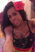 Mestre Transex Escort Paolina Mulatta 333 2910933 foto selfie 24