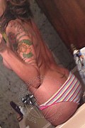 Treviso Transex Escort Valeria 338 8718849 foto selfie 877