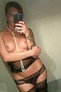 Treviso Transex Escort Valeria 338 8718849 foto selfie 768