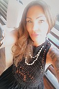 Treviso Transex Escort Valeria 338 8718849 foto selfie 331