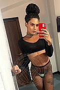 Civitanova Marche Transex Escort Kauane Lima 351 4438227 foto selfie 16