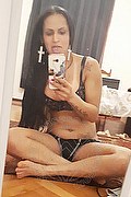 Vibo Valentia Transex Escort Cassidy Ferraro 329 9090136 foto selfie 135