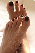 Reggio Emilia Transex Escort Sayda 345 3509360 foto selfie 2