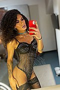 Civitanova Marche Transex Escort Kauane Lima 351 4438227 foto selfie 13