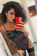 Civitanova Marche Transex Escort Kauane Lima 351 4438227 foto selfie 12