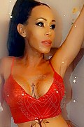 Rende Transex Escort Kelly 320 0752641 foto selfie 4