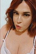 Rimini Transex Escort Chiara Italiana 379 1233337 foto selfie 5