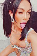 Milano Transex Escort Mulan Asiatica 347 6031342 foto selfie 3