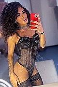 Civitanova Marche Transex Escort Kauane Lima 351 4438227 foto selfie 6