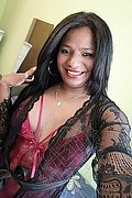 Arezzo Transex Escort Pantera V 329 7012583 foto selfie 2