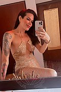 Prato Transex Escort Melissa Jolie 327 9766175 foto selfie 3