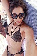 Vercelli Transex Escort Joselin 327 3866194 foto selfie 16