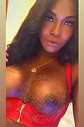 Caserta Transex Escort Paloma Terzagamba 320 9335366 foto selfie 5