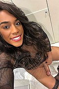 Lodi Transex Escort Dryka 371 1943155 foto selfie 12