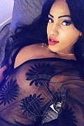 Lodi Transex Escort Dryka 371 1943155 foto selfie 4