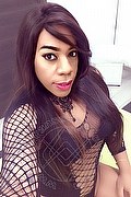 Lodi Transex Escort Dryka 371 1943155 foto selfie 3