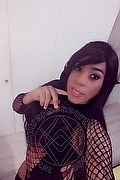 Lodi Transex Escort Dryka 371 1943155 foto selfie 2