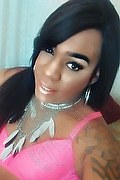 Lodi Transex Escort Dryka 371 1943155 foto selfie 5
