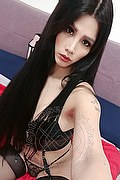 Vercelli Transex Escort Joselin 327 3866194 foto selfie 11