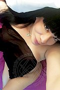 Vanzago Transex Escort Paloma Miranda 349 5678867 foto selfie 11