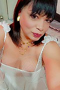 Vanzago Transex Escort Paloma Miranda 349 5678867 foto selfie 5