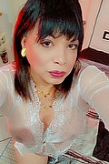 Vanzago Transex Escort Paloma Miranda 349 5678867 foto selfie 3