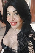 Prato Transex Escort Taina Oliveira 328 5382487 foto selfie 18