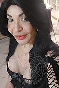 Prato Transex Escort Taina Oliveira 328 5382487 foto selfie 11