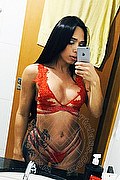 Mantova Transex Escort Valentina Vasconcelos 389 8304365 foto selfie 9