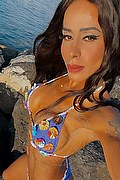 Padova Transex Escort Nicolly Di Biaggi 389 5463285 foto selfie 5