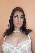 Parma Transex Escort Eliandra 344 6623234 foto selfie 7