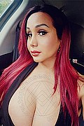 Milano Transex Escort Mishele 388 1553206 foto selfie 12