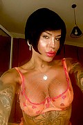 Viareggio Transex Escort Diana Marini 328 0291220 foto selfie 10