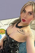 Viareggio Transex Escort Dafne Pornostar 380 1422205 foto selfie 5