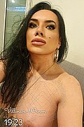 Perugia Transex Escort Sexy Sophie 339 8241081 foto selfie 2