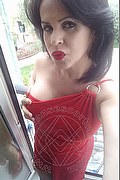 Cabo Frio Transex Escort Raffaella Bastos 0055 62996339624 foto selfie 38