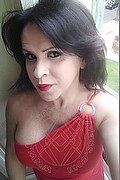 Cabo Frio Transex Escort Raffaella Bastos 0055 62996339624 foto selfie 35