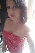 Cabo Frio Transex Escort Raffaella Bastos 0055 62996339624 foto selfie 39