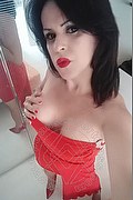 Cabo Frio Transex Escort Raffaella Bastos 0055 62996339624 foto selfie 33