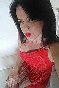 Cabo Frio Transex Escort Raffaella Bastos 0055 62996339624 foto selfie 31