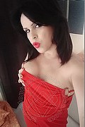 Cabo Frio Transex Escort Raffaella Bastos 0055 62996339624 foto selfie 29