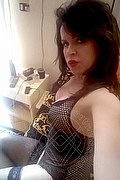 Cabo Frio Transex Escort Raffaella Bastos 0055 62996339624 foto selfie 22